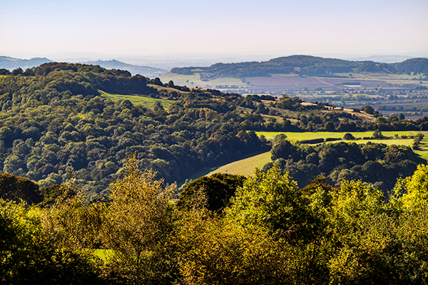 a scenic view of rolling hills covered in lush green forests and farmland under a clear blue sky, showcasing the beauty of nature and the landscape